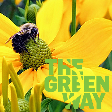 Impact of Pollinators on the Urban Environment - Greenway Walking Tour