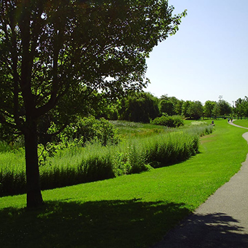 Cambridge Netwalk in Danehy Park
